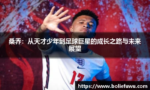 bsports必一体育