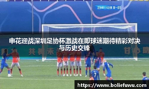 申花迎战深圳足协杯激战在即球迷期待精彩对决与历史交锋